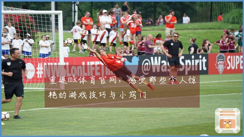 重返mk体育官网，感受那些令人惊艳的游戏技巧与小窍门