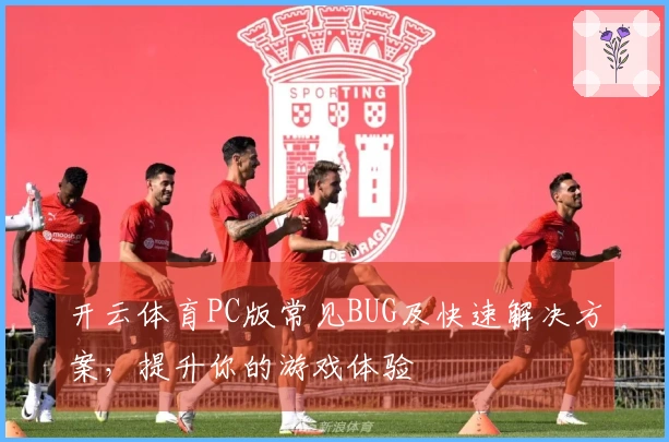 开云体育PC版常见BUG及快速解决方案，提升你的游戏体验