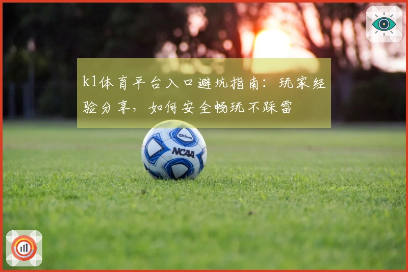 k1体育平台入口避坑指南：玩家经验分享，如何安全畅玩不踩雷