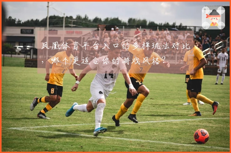 凤凰体育平台入口的多样玩法对比，哪个更适合你的游戏风格？